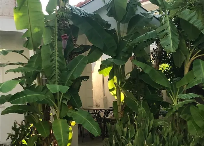 Park - Adult Only 酒店 达利安