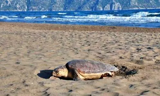 Park - Adult Only 酒店