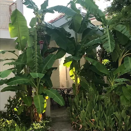 Park - Adult Only Отель Дальян