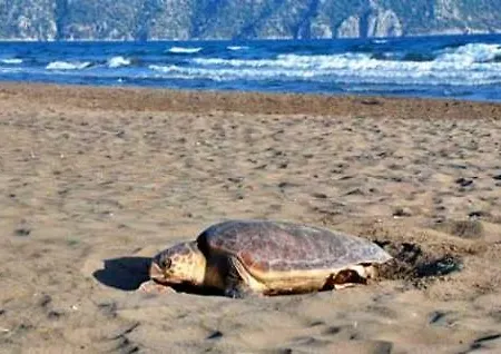 Park - Adult Only Отель